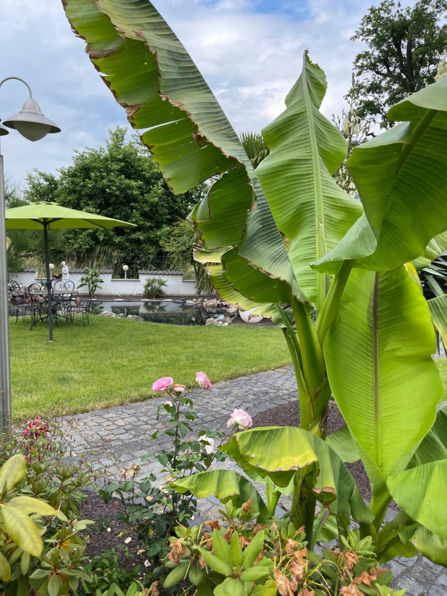 Ferienwohnung Am Pferdemarkt Konz Luaran gambar